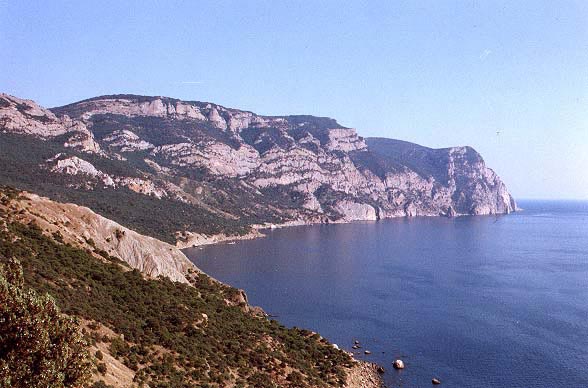 Tè Petrovich da risposte di alcolismo